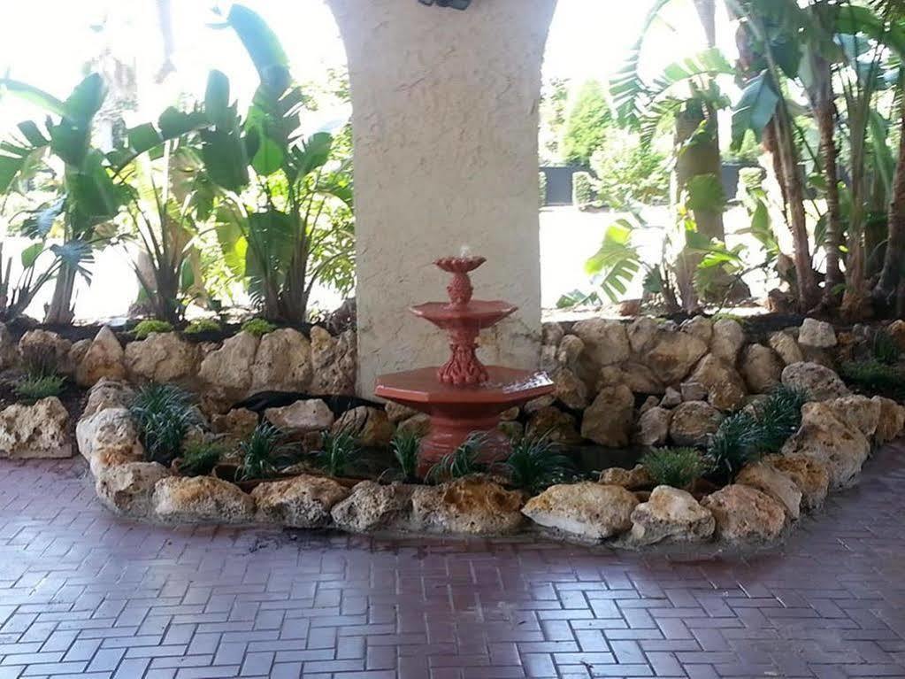 Vista Inn Lake Tarpon Palm Harbor Exterior foto
